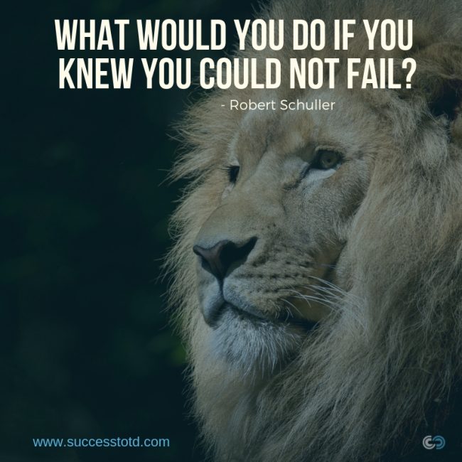 What would you attempt to do if you knew you could not fail? - - Robert Schuller